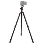 Triopo MT-2804C Adjustable Portable Aluminum Tripod with NB-2S Ball Head for Canon Nikon Sony DSLR Camera, MT-2804C (Black), MT-2804C (Gold)