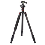 Triopo GT-2504X8.C Adjustable Portable Carbon Fiber Tripod with B-1 Aluminum Ball Head for Canon Nikon Sony DSLR Camera, GT-2504X8.C (Black), GT-2504X8.C (Gold)