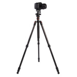 Triopo GT-2504X8.C Adjustable Portable Carbon Fiber Tripod with B-1 Aluminum Ball Head for Canon Nikon Sony DSLR Camera, GT-2504X8.C (Black), GT-2504X8.C (Gold)