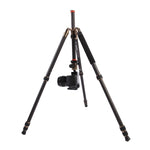 Triopo GT-2504X8.C Adjustable Portable Carbon Fiber Tripod with B-1 Aluminum Ball Head for Canon Nikon Sony DSLR Camera, GT-2504X8.C (Black), GT-2504X8.C (Gold)
