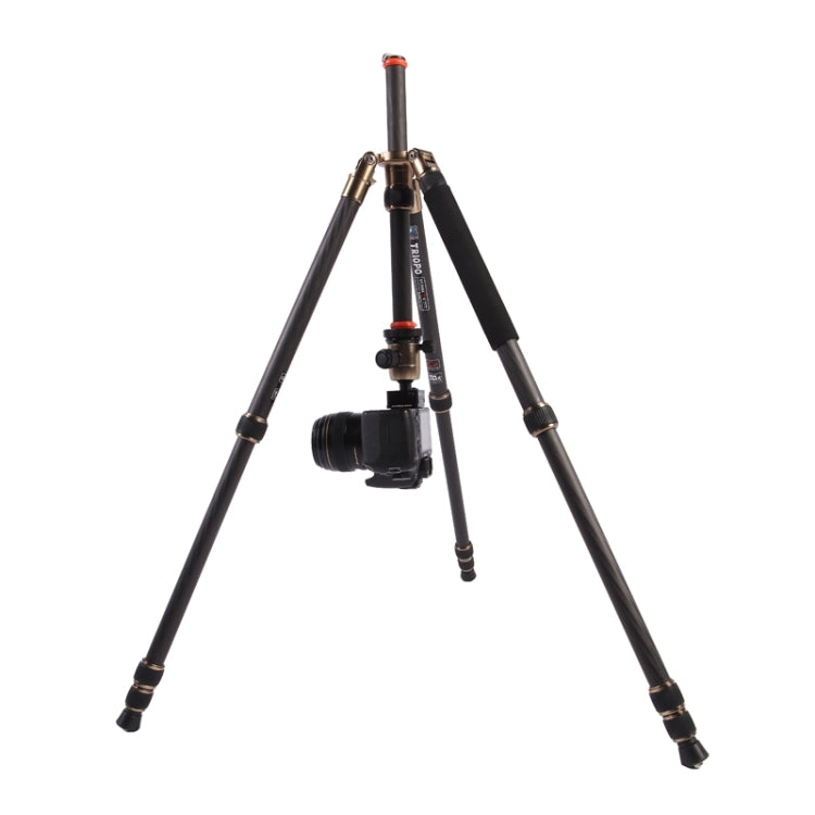 Triopo GT-2504X8.C Adjustable Portable Carbon Fiber Tripod with B-1 Aluminum Ball Head for Canon Nikon Sony DSLR Camera, GT-2504X8.C (Black), GT-2504X8.C (Gold)