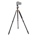 Triopo GT-2504X8.C Adjustable Portable Carbon Fiber Tripod with B-1 Aluminum Ball Head for Canon Nikon Sony DSLR Camera, GT-2504X8.C (Black), GT-2504X8.C (Gold)