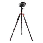 Triopo GT-2505x8.C Adjustable Portable Carbon Fiber Tripod with B-1 Aluminum Ball Head for Canon Nikon Sony DSLR Camera, GT-2505x8.C (Black), GT-2505x8.C (Gold)