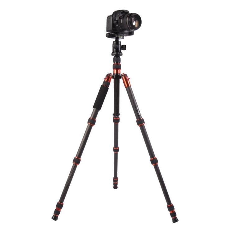 Triopo GT-2505x8.C Adjustable Portable Carbon Fiber Tripod with B-1 Aluminum Ball Head for Canon Nikon Sony DSLR Camera, GT-2505x8.C (Black), GT-2505x8.C (Gold)