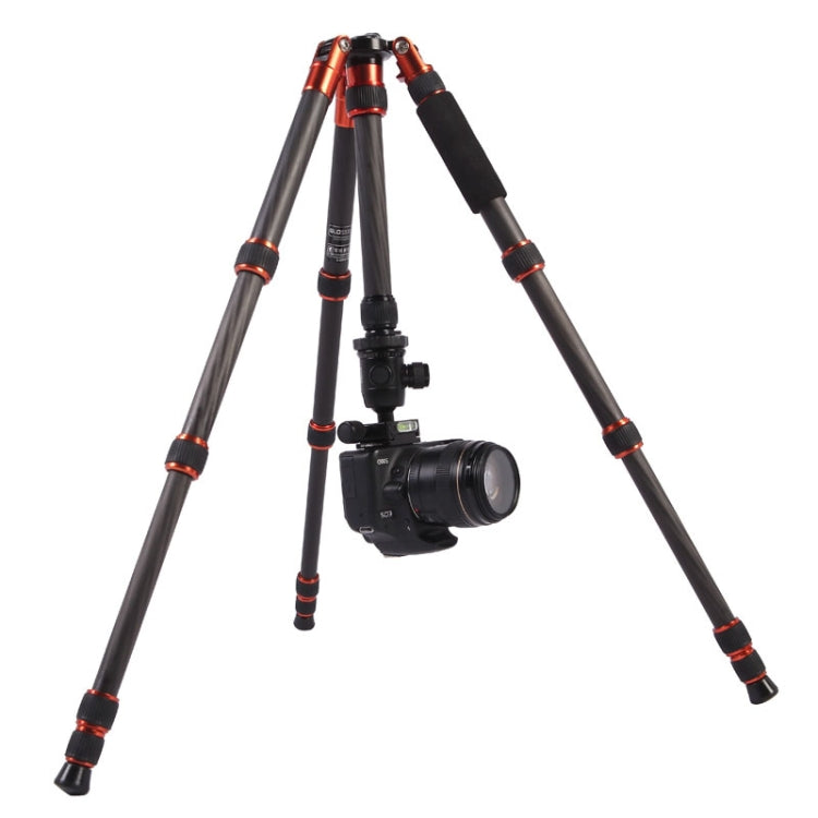 Triopo GT-2505x8.C Adjustable Portable Carbon Fiber Tripod with B-1 Aluminum Ball Head for Canon Nikon Sony DSLR Camera, GT-2505x8.C (Black), GT-2505x8.C (Gold)