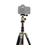 Triopo GT-2505x8.C Adjustable Portable Carbon Fiber Tripod with B-1 Aluminum Ball Head for Canon Nikon Sony DSLR Camera, GT-2505x8.C (Black), GT-2505x8.C (Gold)