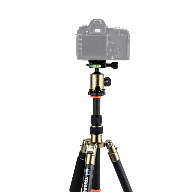 Triopo GT-2505x8.C Adjustable Portable Carbon Fiber Tripod with B-1 Aluminum Ball Head for Canon Nikon Sony DSLR Camera, GT-2505x8.C (Black), GT-2505x8.C (Gold)