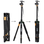 ZOMEI Z688 Portable Professional Travel Magnesium Alloy Material Tripod Monopod with Ball Head for Digital Camera, Z688