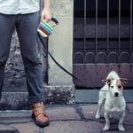 Easy Operation Retractable Flexible Dog Leash, 5m Color Strip Style
