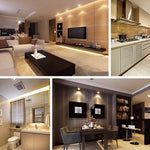 4 LED, Energy Saving, AC / DC 12V, Warm White Light