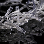 100 LED RGB Light with Controller, Flashing / Fading / Chasing Effect, AC 220V, EU Plug , RGB Light