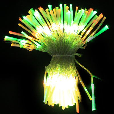 100 LED RGB Light with Controller, Flashing / Fading / Chasing Effect