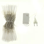 100 LED RGB Light with Controller, Flashing / Fading / Chasing Effect