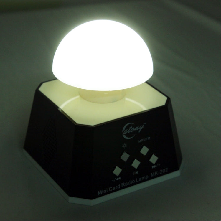 مكبر صوت CT-0019 مع أضواء LED متعددة وراديو FM، يدعم بطاقة TF
