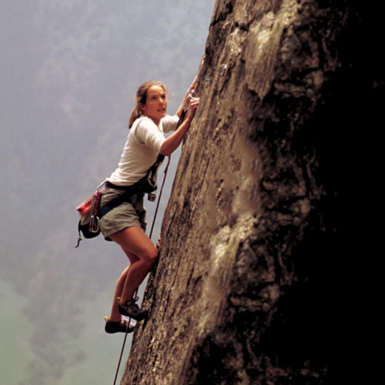 2PCS Multi-function High Quality Aluminum Alloy D Shape Camping  Hang Buckle Carabiner, 2PCS Aluminum Alloy