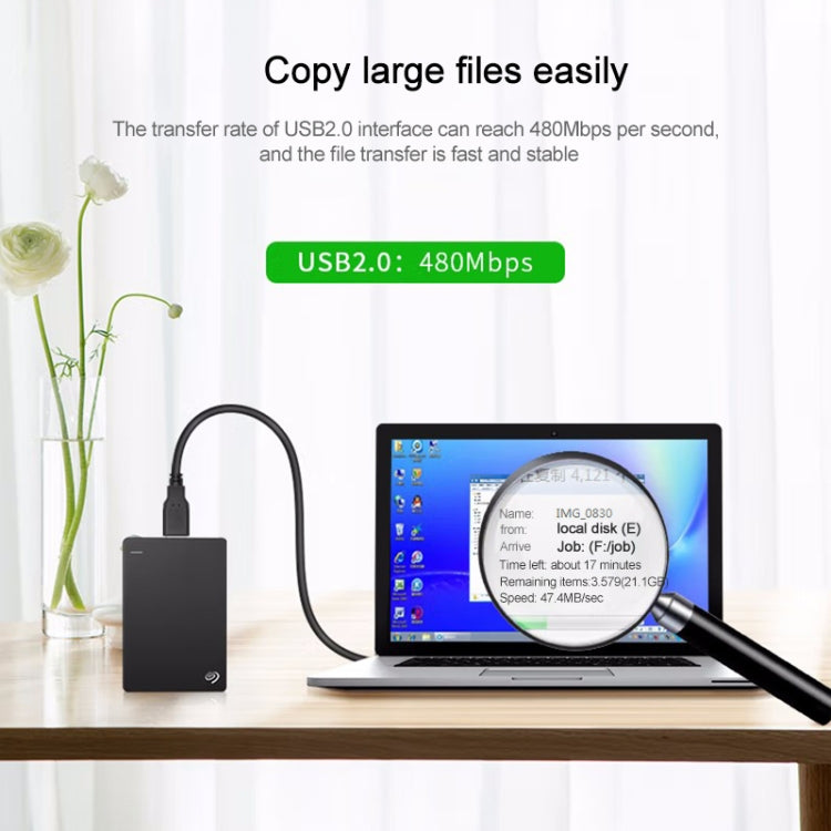 نص بديل للصورة