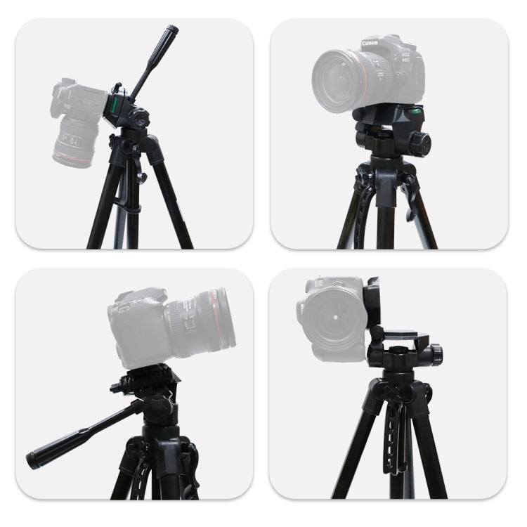 L-3600 Live Tripod with Three-Dimensional Damping Gimbal  Detachable Quick Release Plate  Height Adjustment 62-170cm for SLR Camera  Live Light  Projector ( Black), L-3600