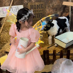 Rockwoo R01 DIY Electric Butterfly Elf Wings Toy, With Light, No Light