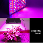 إضاءة نباتات طيف كامل بقوة 45 واط و144 مصباح LED، Fitolampy للنباتات والزهور وزراعة الشتلات، مصابيح نمو LED، AC85-265V، الولايات المتحدة، الاتحاد الأوروبي، أستراليا، المملكة المتحدة