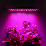 إضاءة نباتات طيف كامل بقوة 45 واط و144 مصباح LED، Fitolampy للنباتات والزهور وزراعة الشتلات، مصابيح نمو LED، AC85-265V، الولايات المتحدة، الاتحاد الأوروبي، أستراليا، المملكة المتحدة