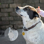Enamel cat dog key chain charms showcasing a dog with a paw print pendant on its collar outdoors.