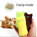 2 PCS Teeth Grinding Catnip Toys Funny Interactive Plush Cat Toy Pet Kitten Chewing Toy  Claws Thumb Bite Cat mint for Cats
