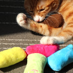 2 PCS Teeth Grinding Catnip Toys Funny Interactive Plush Cat Toy Pet Kitten Chewing Toy  Claws Thumb Bite Cat mint for Cats