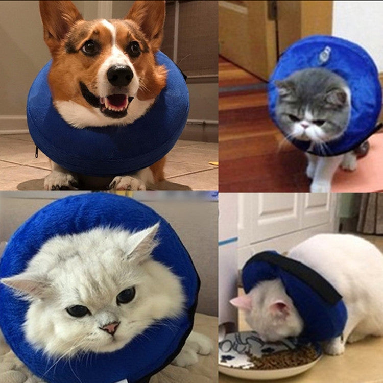 Texte alternatif par défaut