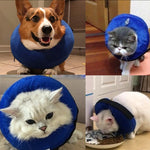 Collier gonflable anti-arrachement pour chien en PVC