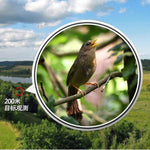 Eyeskey High-definition HD Telescope Night Vision Non-infrared Nitrogen-filled Waterproof Pocket Binoculars, 8X42, 10X42