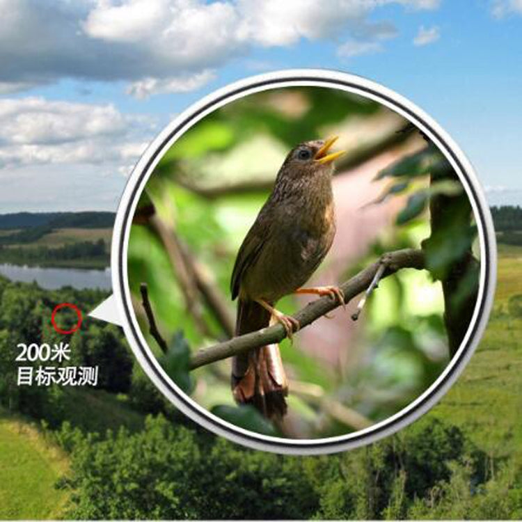 Eyeskey High-definition HD Telescope Night Vision Non-infrared Nitrogen-filled Waterproof Pocket Binoculars, 8X42, 10X42