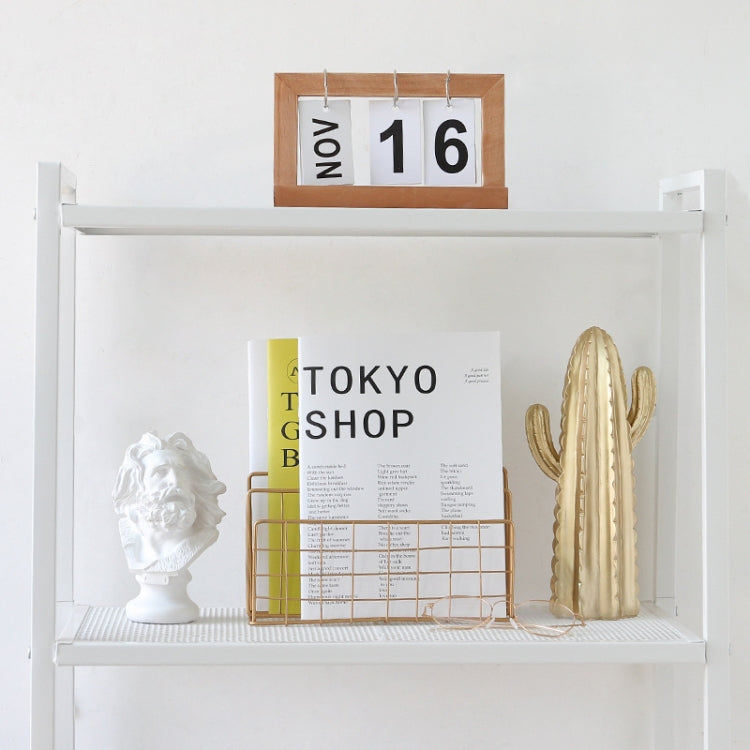رف تخزين مكتبي من الحديد المطاوع لحمل المجلات، أسود، ذهبي