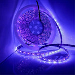 2835 SMD UV Purple Light Strip LED Lamp Decorative Light Strip, Waterproof 5m, Bare Board 5m, Waterproof 10m, Bare Board 10m