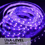 شريط إضاءة LED SMD 2835 ضوء بنفسجي فوق بنفسجي، شريط إضاءة زخرفي مقاوم للماء 5 أمتار، مقاوم للماء 10 أمتار، شريط عاري 5 أمتار، شريط عاري 10 أمتار