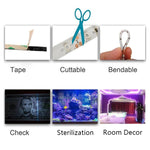شريط إضاءة LED SMD 2835 ضوء بنفسجي فوق بنفسجي، شريط إضاءة زخرفي مقاوم للماء 5 أمتار، مقاوم للماء 10 أمتار، شريط عاري 5 أمتار، شريط عاري 10 أمتار
