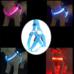 Double Sided LED Light Pet Harness Nylon Cat Dog Chest Strap Leash, S, M