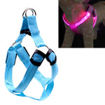 Double Sided LED Light Pet Harness Nylon Cat Dog Chest Strap Leash, S, M