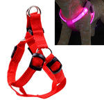 Double Sided LED Light Pet Harness Nylon Cat Dog Chest Strap Leash, S, M