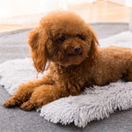 Autumn and Winter Warm Universal Square Pet Cat Dog Plush Pad, S, L, XL