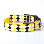 Plaid Pattern Rechargeable LED Glow Light Leads Pet Dog Collar for Small Medium Dogs, L, XL