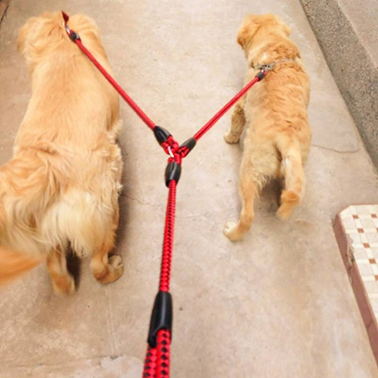 Laisse double pour chien, corde de traction anti-nœuds pour animaux de compagnie