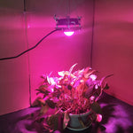 COB Plant Growth Light LED Vegetable Planting Succulent Light, Full Spectrum, Sunligh