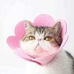 Pet EVA Sponge Lick-proof Sterilization Collar, XS 12-14cm, S 15-21cm, M 22-27cm