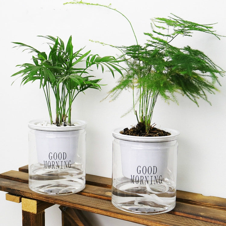 Automatic Water Absorption Hydroponic Pot Succulent Plant Flower Pot, Transparent With Words