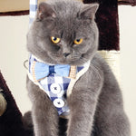 Pet Traction Rope Chest Harness Anti-break Away Vest Type Small Dog Walking Rope, S, M, L