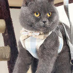 Pet Traction Rope Chest Harness Anti-break Away Vest Type Small Dog Walking Rope, S, M, L