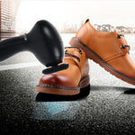 Household Electric Hand-held Automatic Oiling Leather Goods Maintenance Portable Shoe Dryer, Shoe Dryer