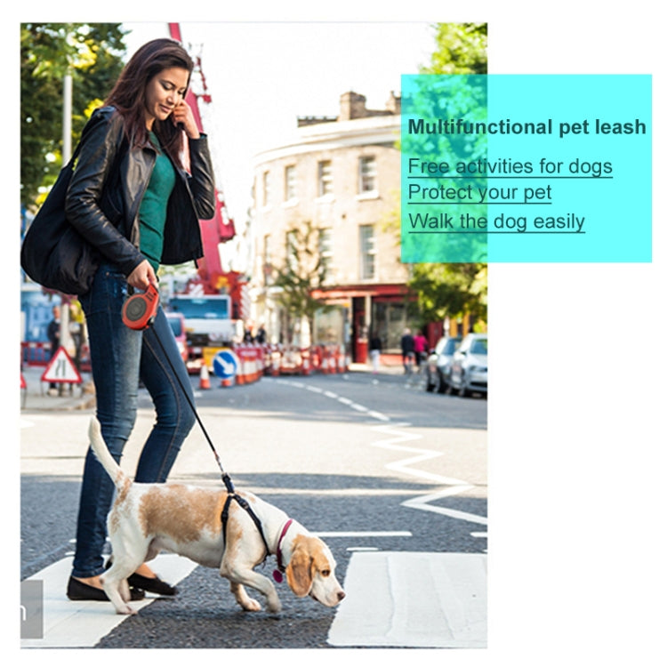 Retractable Dog Leash Automatic Flexible Dog Puppy Cat Traction Rope Belt Dog Leash for Small Medium Dogs Pet Products, 3m, 5m