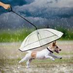 Parapluie transparent réglable pour animaux de compagnie, idéal pour la pluie et les promenades avec un chien ? Laisse