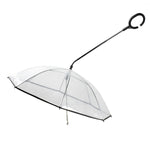 Parapluie transparent réglable pour animaux de compagnie, idéal pour la pluie et les promenades avec un chien ? Laisse